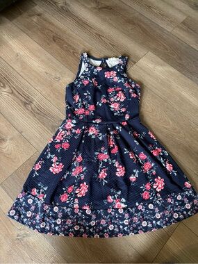 Rewind Navy Floral Sleeveless Fit & Flare Dress with Pink Roses